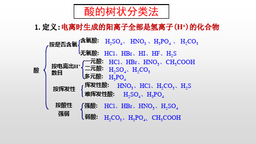 物质的树状分类高一上学期人教版(2019)化学必修第一册