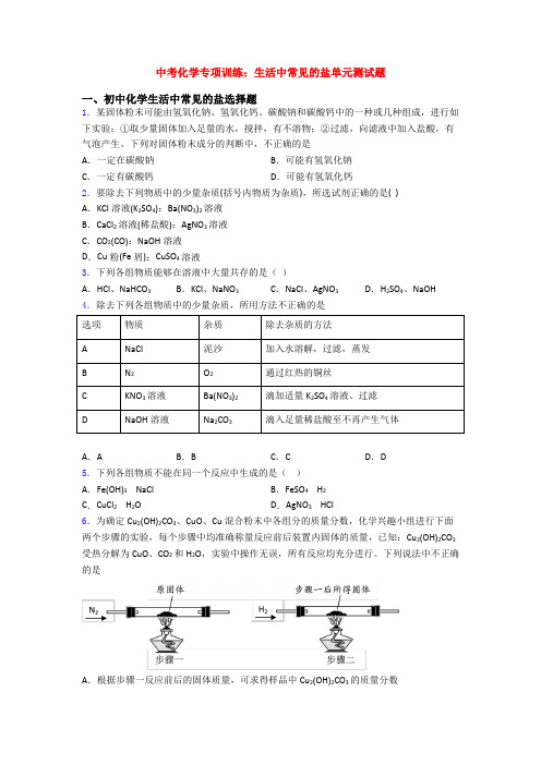 中考化学专项训练：生活中常见的盐单元测试题