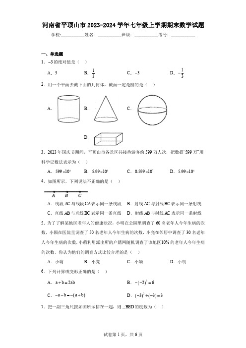 河南省平顶山市2023-2024学年七年级上学期期末数学试题