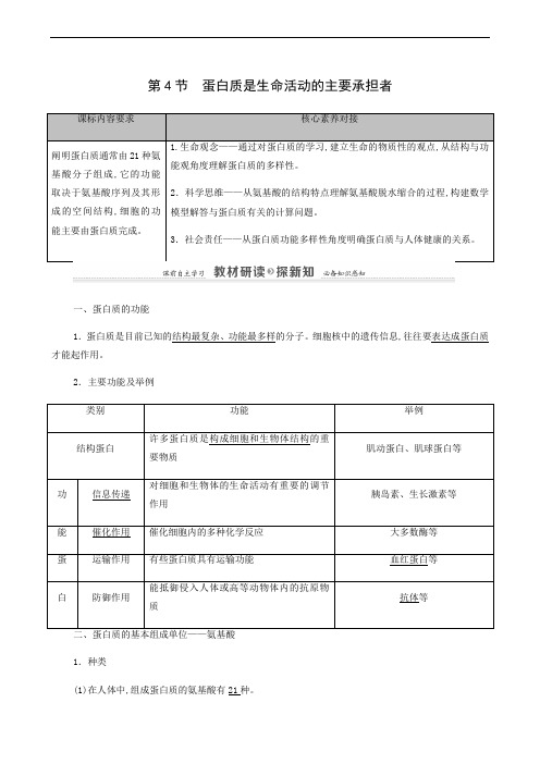 人教版高中生物同步学习 蛋白质是生命活动的主要承担者