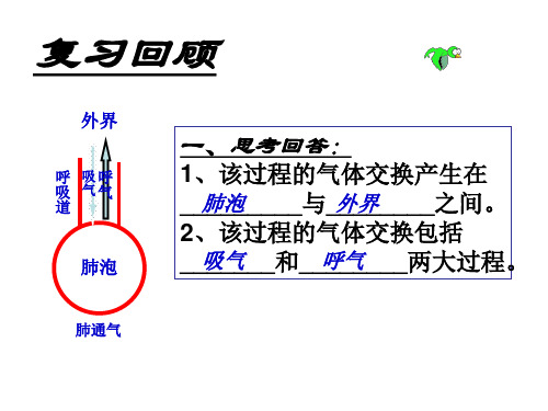 苏教版七年级下册生物 10.4人体内的气体交换 课件(26张)