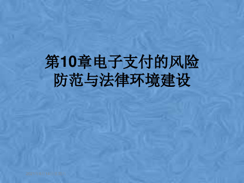 第10章电子支付的风险防范与法律环境建设