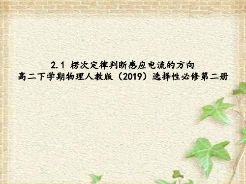 2.1 楞次定律判断感应电流的方向 课件 高二下学期物理人教版(2019)选择性必修第二册