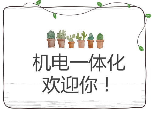 初中综合实践活动《察探究活动  2.秸秆和落叶的有效处理》培优课件_14