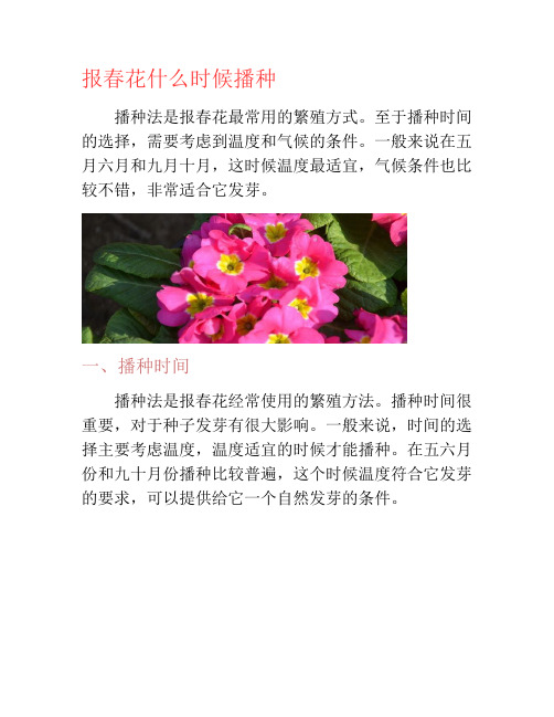 报春花什么时候播种-养花技巧