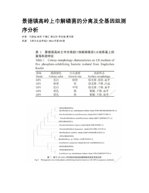 景德镇高岭上巾解磷菌的分离及全基因组测序分析