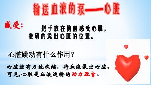 人教版初一七年级生物 心脏 名师教学PPT课件