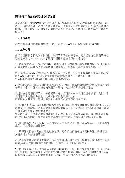 设计师工作总结和计划(精选5篇)