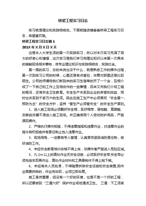 桥梁工程实习日志