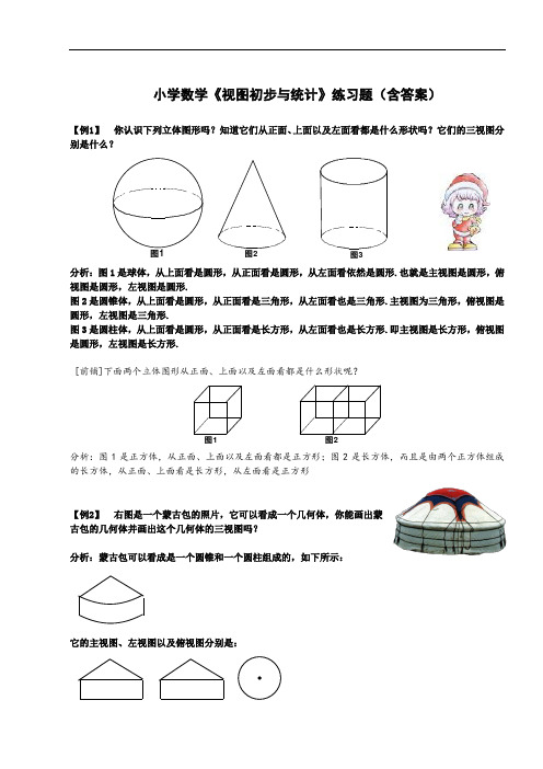 小学数学《视图初步与统计》练习题(含答案)