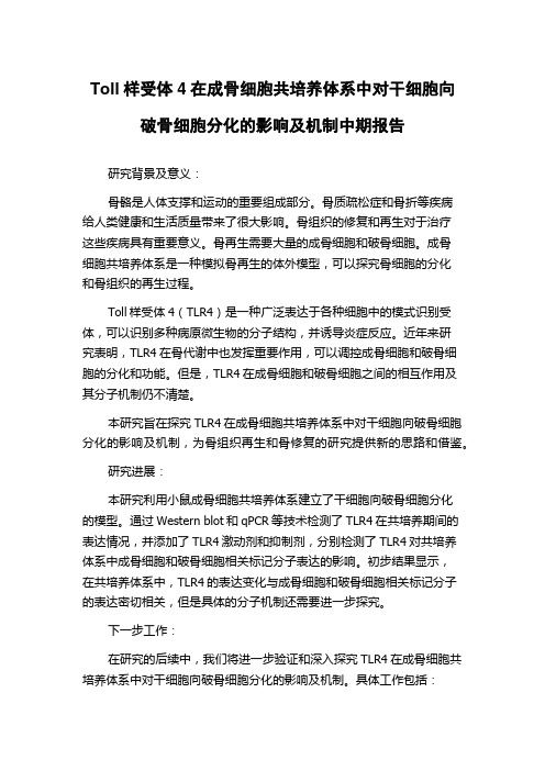 Toll样受体4在成骨细胞共培养体系中对干细胞向破骨细胞分化的影响及机制中期报告