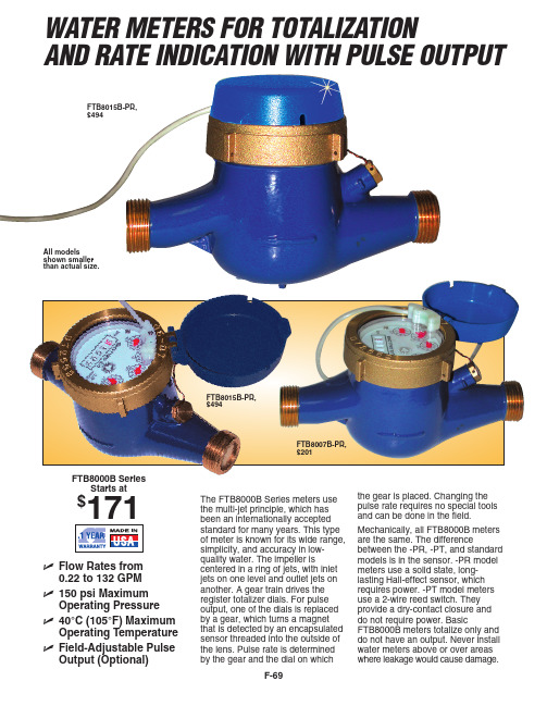 FTB8000B系列水表总计与速率指示器说明书