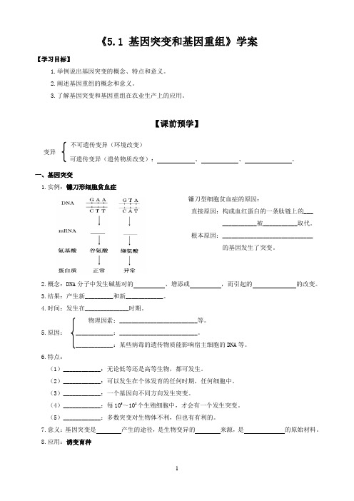 基因突变及其他变异学案