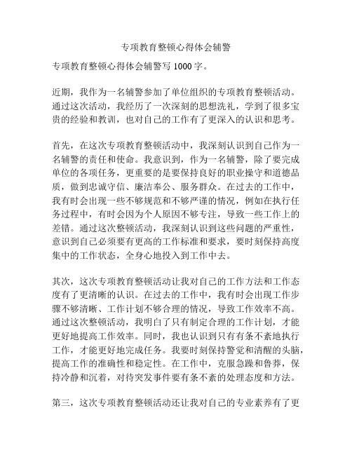 专项教育整顿心得体会辅警