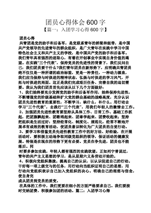 团员心得体会600字