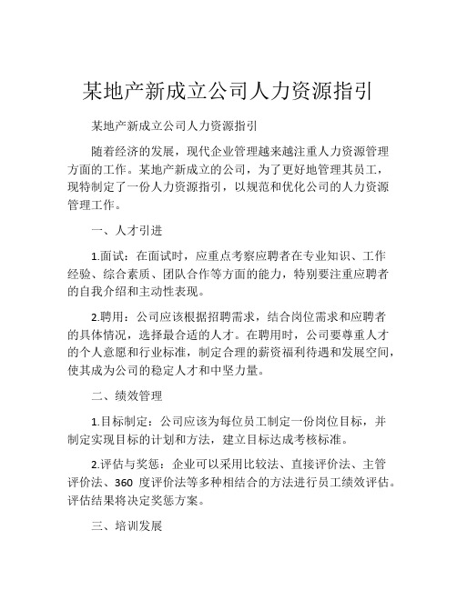 某地产新成立公司人力资源指引