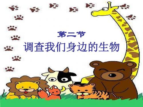 调查我们身边的生物 PPT课件1 人教版