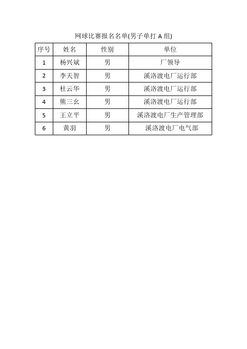 网球比赛报名表