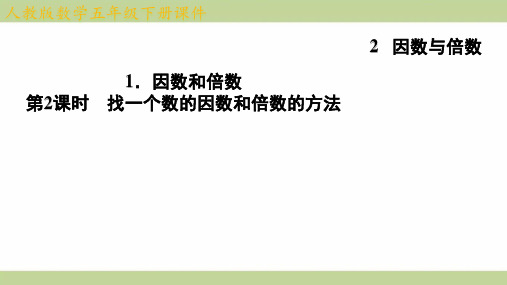 (新插图)人教版五年级下册数学 2-1-2 找一个数的因数和倍数的方法 知识点梳理课件