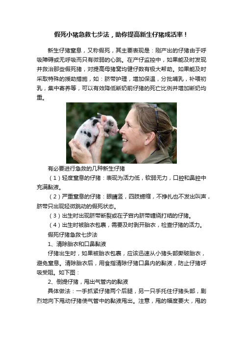 假死小猪急救七步法，助你提高新生仔猪成活率！