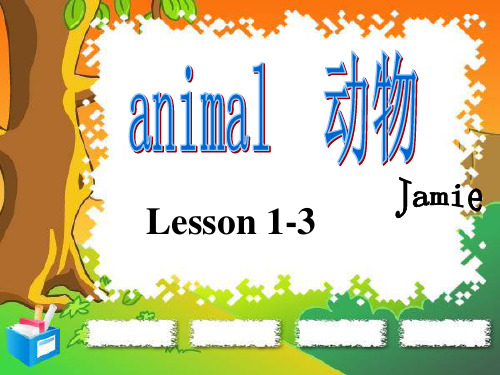 Animals有关动物教学的课件