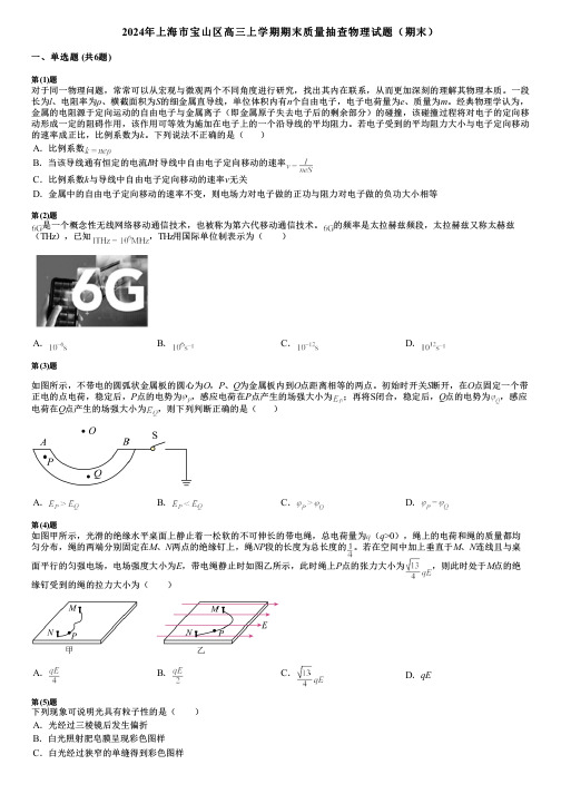 2024年上海市宝山区高三上学期期末质量抽查物理试题(期末)