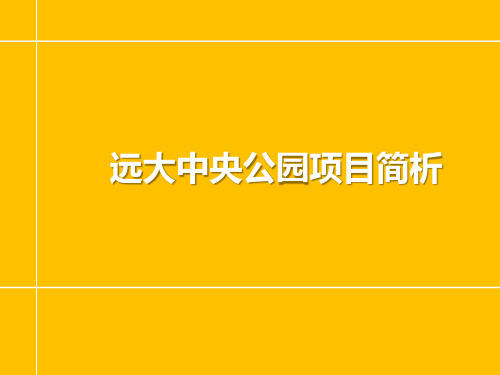 远大中央公园项目简析