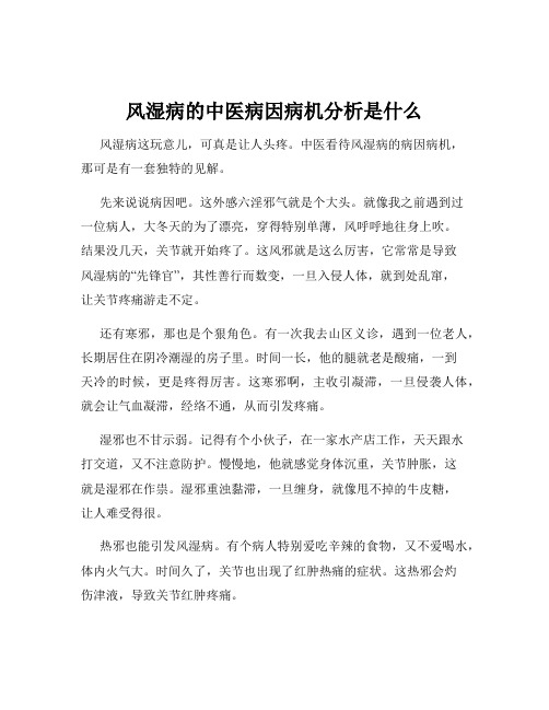 风湿病的中医病因病机分析是什么