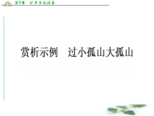 高中语文新课标选修《中国古代诗歌散文欣赏》课件:4.1赏析示例 过小孤山大孤山