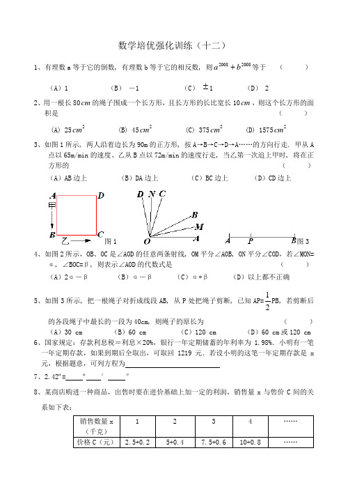 七年级数学下册培优强化训练含答案