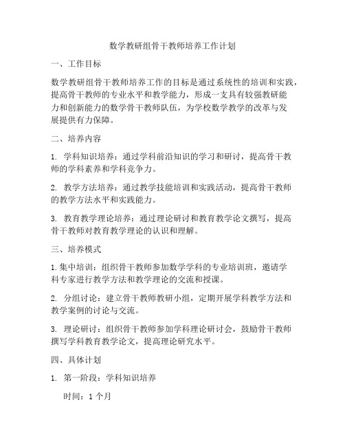 数学教研组骨干教师培养工作计划