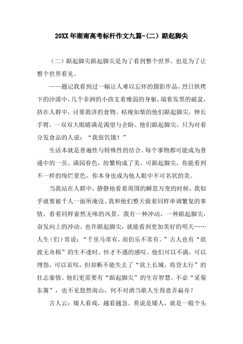 20XX年湖南高考标杆作文九篇-(二)踮起脚尖