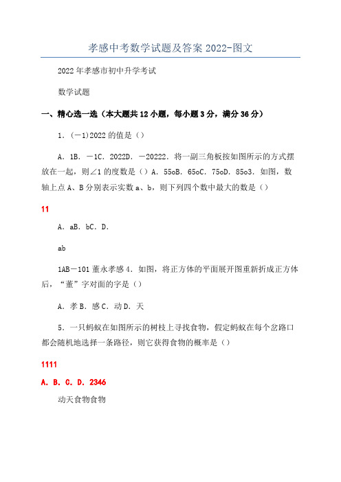 孝感中考数学试题及答案2022-图文