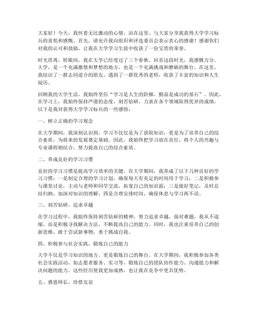 大学学习标兵获奖感言