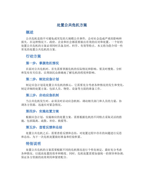 处置公共危机方案