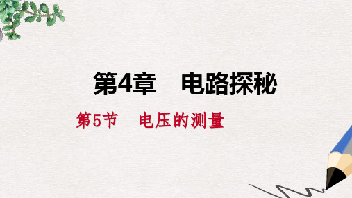 八年级科学上册 第4章 电路探秘 4.5 电压的测量 实验：研究串、并联电路的电压特点练习课件 (新版)浙教版