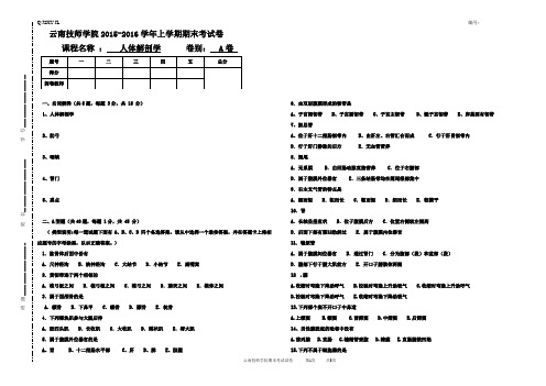 人体解剖学试卷