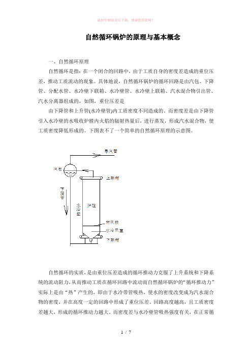 锅炉水循环