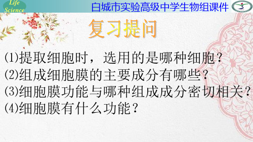 新版人教版高中生物2020--生物膜的流动镶嵌模型(共17张PPT)学习演示PPT课件