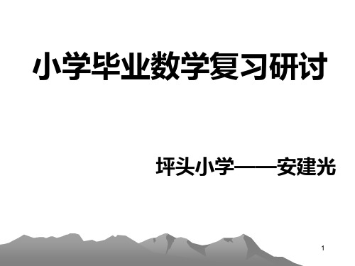 小学数学毕业复习研讨(讲座)