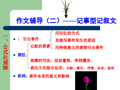 初中作文辅导：记事型记叙文ppt(完美版)