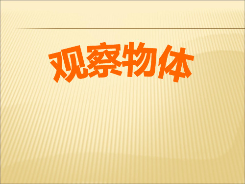 三年级数学上册观察物体课件PPT