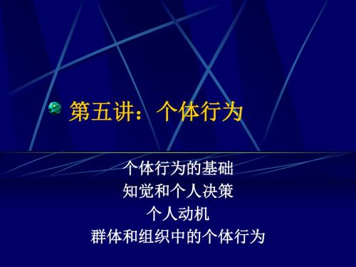 珠宝行业个体行为分析(ppt 30页)