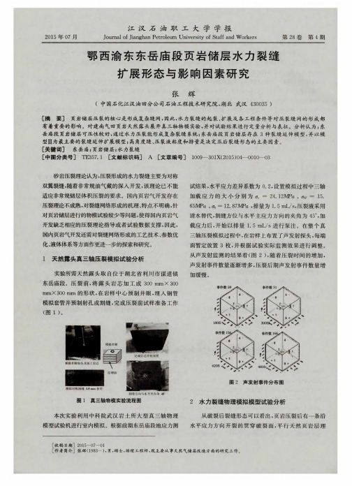 鄂西渝东东岳庙段页岩储层水力裂缝扩展形态与影响因素研究