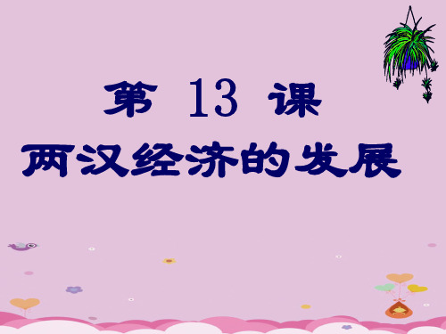 两汉经济的发展ppt13 人教版