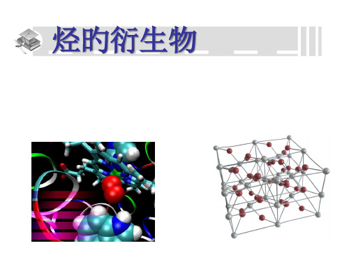 卤代烃ppt专题培训