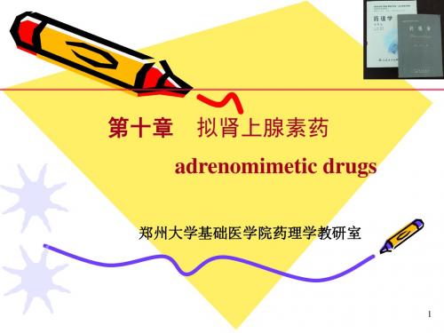 zzu医学院药理学 拟肾上腺素药