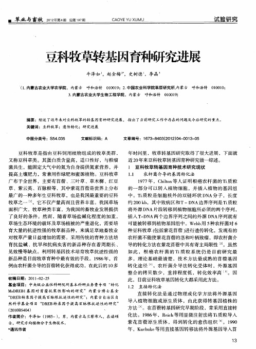 豆科牧草转基因育种研究进展