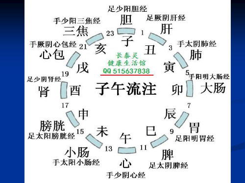 12时辰养生(2)