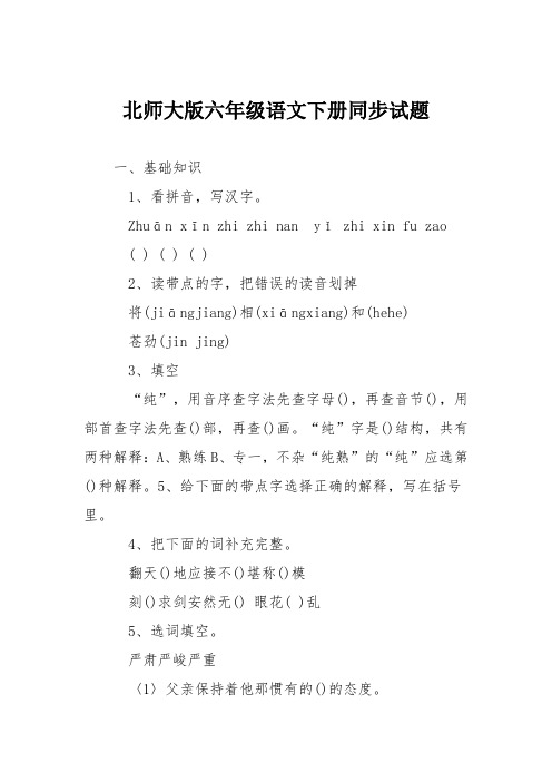 北师大版六年级语文下册同步试题